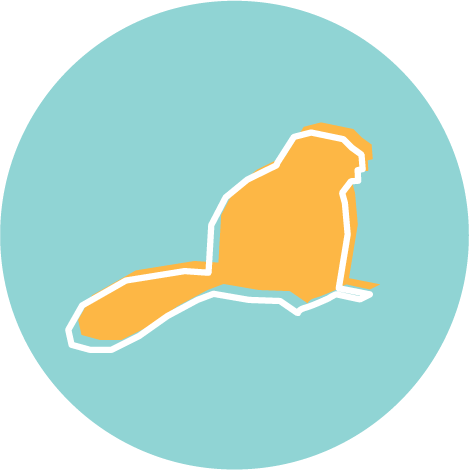 Icon for Indigenous Voices in Programs